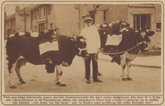 870463 Afbeelding van slager H.J. Schipper (Kanaalstraat 55) te Utrecht, die twee runderen heeft aangeschaft op ...